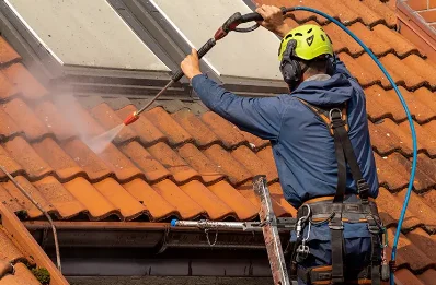 Démoussage et hydrofuge de toiture à Buding